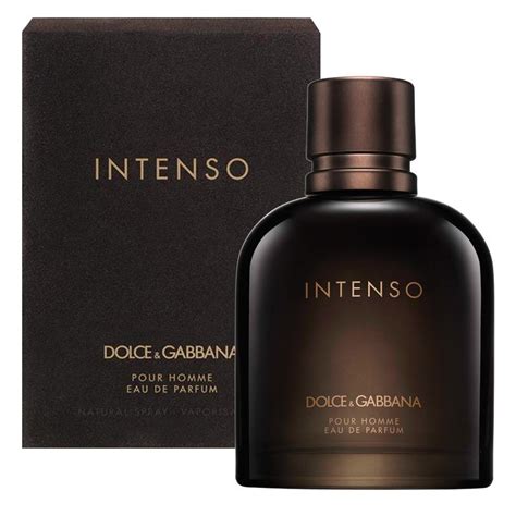 pour homme de dolce gabbana|d&g pour homme intenso.